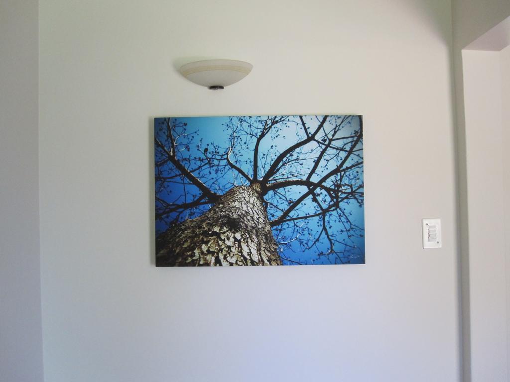 The Pecan Tree Guesthouse Sandton Exteriör bild