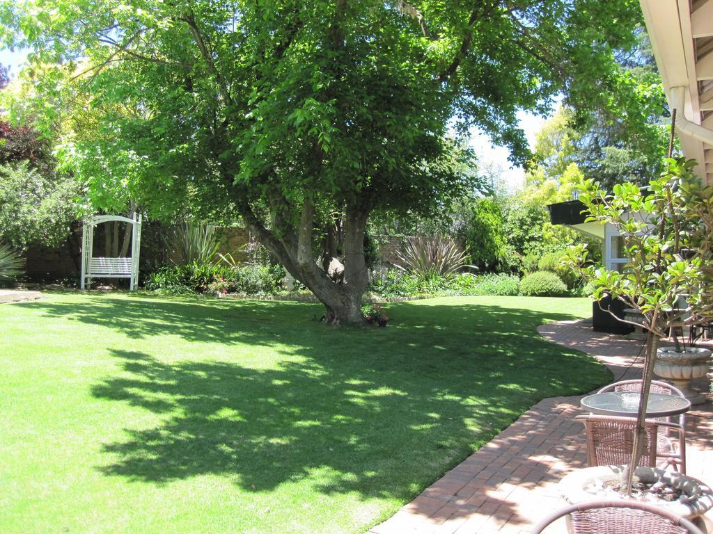 The Pecan Tree Guesthouse Sandton Rum bild